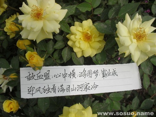 12星座的性格和创业成功指数分析及案例(超准)